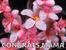 a bunch of pink flowers with the words `` congrats mama ''