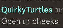 a sign that says quirky turtles open ur cheeks on it