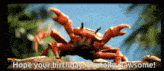 Crab Birthday GIF - Crab Birthday GIFs