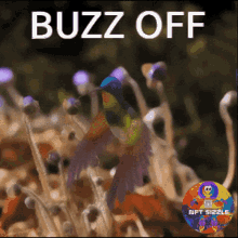 Buzz Off Go Away GIF - Buzz Off Go Away Leave Me Alone GIFs