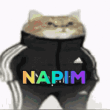 Napim2 GIF - Napim2 GIFs