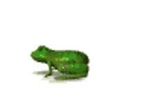 Frog Retro GIF - Frog Retro GIFs