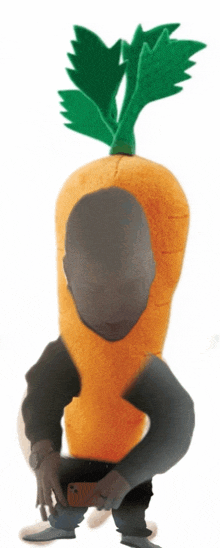 a stuffed carrot with a green stem and leaves on top of it
