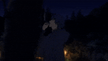 a person smoking a cigarette in the dark with trees in the background