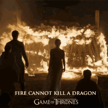 Daenerys Fire Cannot Kill A Dragon GIF - Daenerys Fire Cannot Kill A Dragon Game Of Thrones GIFs