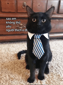 a black cat is wearing a blue and white tie