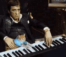 Pacino Cat GIF - Pacino Cat Piano GIFs