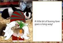 Gnome Bunny Rabbit GIF - Gnome Bunny Rabbit GIFs