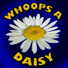 Whoops A Daisy Surprise GIF - Whoops A Daisy Surprise Exclamation GIFs