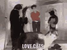 Love Cats The Cure GIF - Love Cats The Cure Missed You GIFs