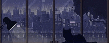 a black cat is sitting in front of a window looking out at a city at night .