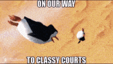 Classy Courts On Our Way To Classy Courts GIF - Classy Courts On Our Way To Classy Courts GIFs