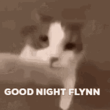 Good Night Flynn Flynn Park GIF - Good Night Flynn Flynn Park Flynn GIFs