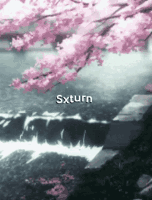 Aesthetic Cherry Blossoms GIF