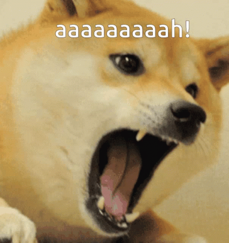 Meme Doge GIF - Meme Doge Funny Memes - Discover & Share GIFs