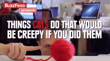 Things Cats Do That'D Be Creepy If You Did Them GIF - Cats Pets Funny GIFs