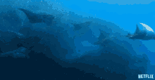 Manta Rays Swimming GIF - Manta Rays Swimming Herd GIFs