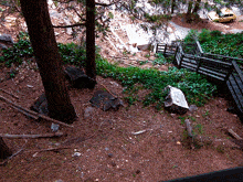 a staircase in a forest with a car parked on the side
