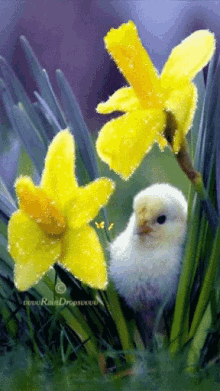 Bird Yellow GIF - Bird Yellow Flower GIFs