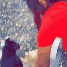 a person in a red shirt is standing next to a black dog