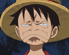 a cartoon character with a straw hat and a red shirt