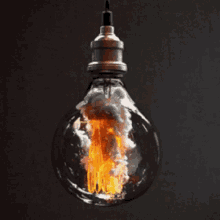 light bulb light bulb exploding boom explosion profile picture