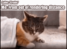 Bdo Lahn Grab Cat GIF - Bdo Lahn Grab Cat GIFs