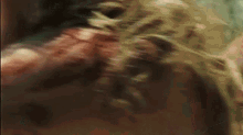 Bh187 The Devils Rejects GIF