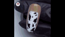 a close up of a woman 's nails with a cow print design