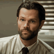 a man with a beard is wearing a striped shirt and a tie