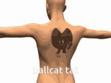 Ballcat Tat GIF - Ballcat Tat GIFs