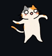a calico cat with a surprised look on his face