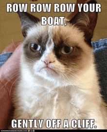 Grumpy Cat Say What GIF - GrumpyCat SayWhat Trendizisst - Discover & Share  GIFs