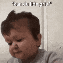 a baby is making a funny face with the caption " kan du lide gris ? "