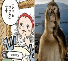 a picture of a baby next to a picture of a monkey with one piece written on the bottom