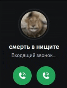 a phone screen with a picture of a lion and the words " смерть в ницците "