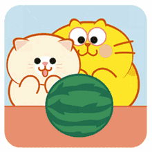 kitty cat woah watermelon karate chop