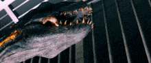 Jurassic World Jurassic Park GIF - Jurassic World Jurassic Park Indoraptor GIFs