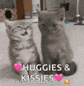 two kittens are sitting next to each other on a floor .