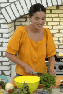 Selena Gomez Selena And Chef GIF