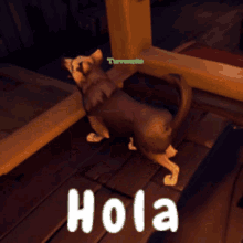 Hola Dog GIF - Hola Dog Perro GIFs