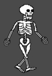 Spooki Scary GIF - Spooki Scary Skeletals GIFs