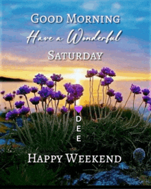 a good morning have a wonderful saturday and happy weekend greeting card with purple flowers