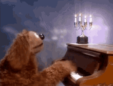 The Muppet Show Rowlf GIF - The Muppet Show Rowlf Piano GIFs