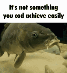 Its Not Something You Cod Achieve Easily Cod GIF - Its Not Something You Cod Achieve Easily Cod Shrimple GIFs