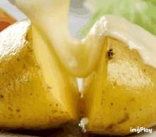 Fromage Cum GIF - Fromage Cum Cheese GIFs