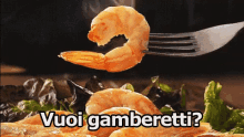 Gamberetti Crostacei Gameretti Fritti GIF - Shrimps Prawn Crustacean GIFs