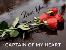 Miss You Roses GIF - Miss You Roses Red GIFs