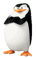 a black and white penguin with orange feet and blue eyes