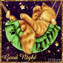 Good Night Cat GIF